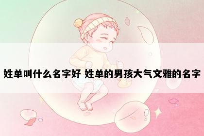 姓单叫什么名字好 姓单的男孩大气文雅的名字